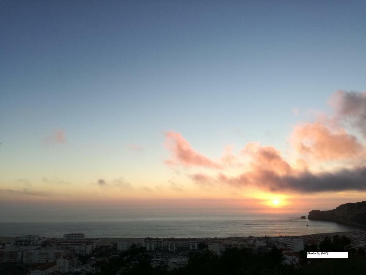 Casa Dos Passarinhos-Seaview@Nazare Hotel Eksteriør billede